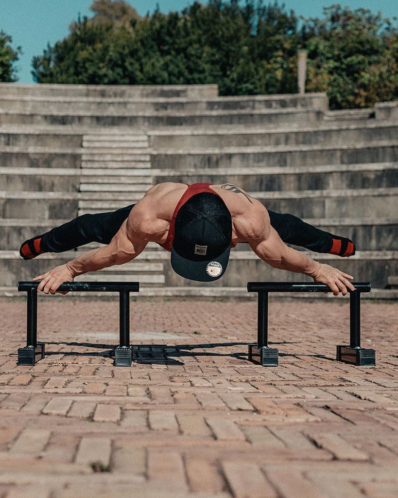 Maltese on Ramass Parallettes